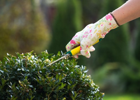 Gardener working in a Southgate front garden with hedge trimmers