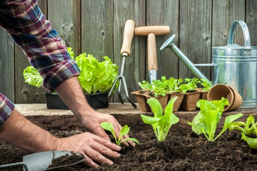 Close-up of a gardener's hands and tools representing garden maintenance in Southgate