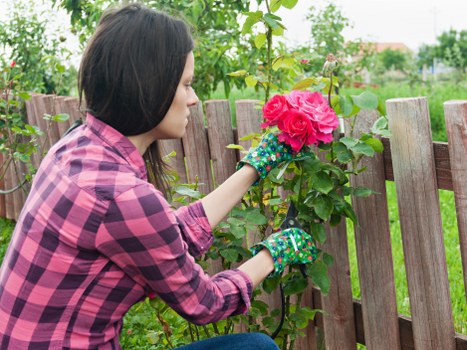 Garden clearance team removing green waste in suburban garden