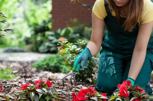 Worker wearing PPE cutting hedgerow with care