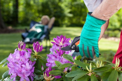 A close-up view of a gardener's hands wearing teal gardening gloves, using pruning shears to trim vibrant pink and purple rhododendron flowers in a well-maintained backyard garden. The background features a neatly mown lawn with lush green grass, a row of trimmed hedges, and mature trees providing shade, creating a peaceful outdoor environment. A reclining garden chair is visible in the distance, indicating a relaxing space for outdoor leisure. The scene suggests ongoing gardening maintenance typical of professional landscape or garden care services in Southgate, with clean, healthy plant growth and tidy foliage. Overcast weather results in soft, natural lighting, highlighting the vivid colours of the flowers and greenery. This image supports professional gardening and landscaping services offered by Gardening Services Southgate, focusing on garden pruning, shrub maintenance, and overall outdoor garden care in the local area.